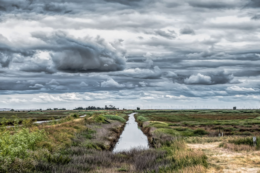 BCI_2018-05-25_ID#4899-E-2 - 