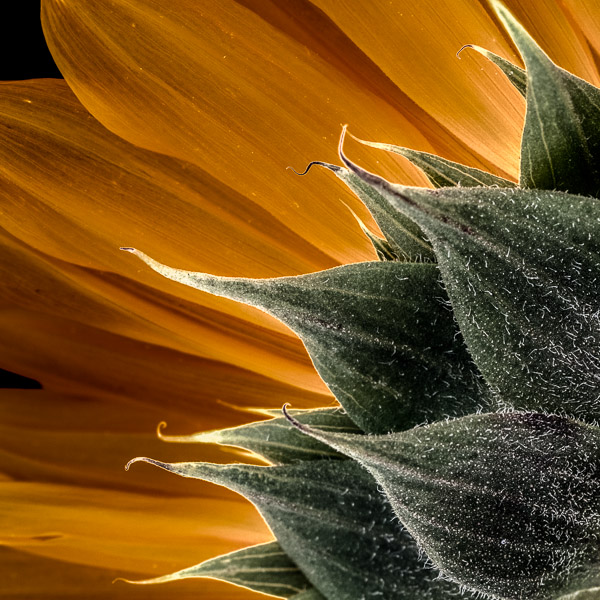 BCI_2018-07-22_ID#5527-E - 