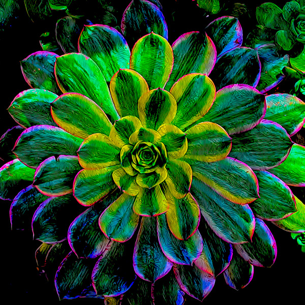BCI_2019-04-22_ID#7417-E - 