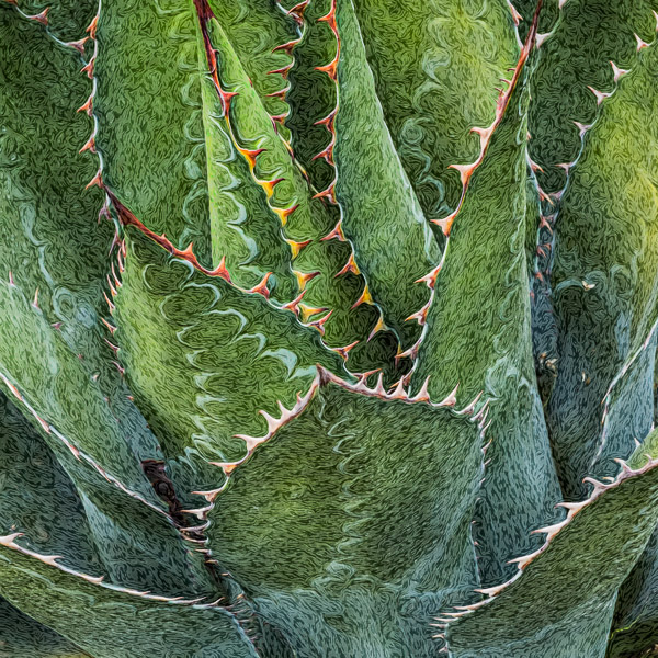 BCI_2019-09-27_ID#8649-E - 