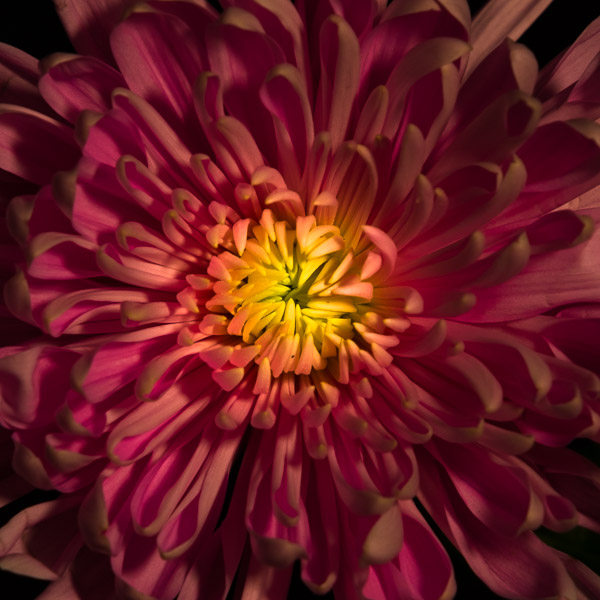 BCI_2021-01-04_ID#0844 - 