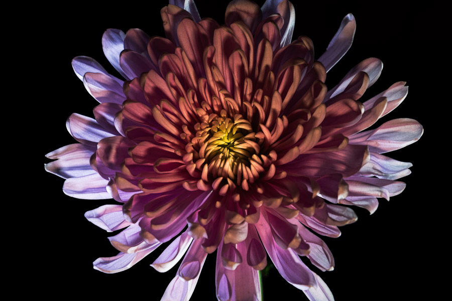 BCI_2021-01-04_ID#0889-E - 