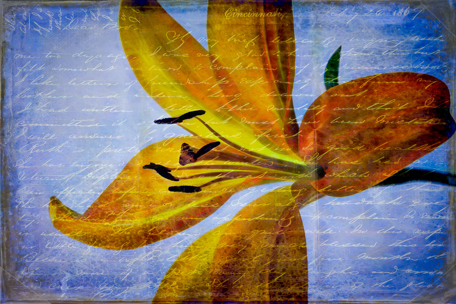 BCI_2021-01-11_ID#0900-E - 